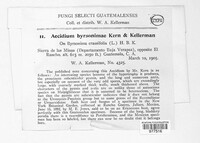 Image of Aecidium byrsonimae